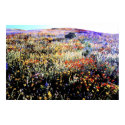 bright hillside flowers posters by dma847 bright hillside flowers posters