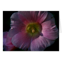 Bright Hollyhock Cards