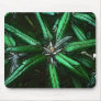 Bright Leaves Mousepad