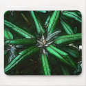Bright Leaves Mousepad