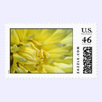 Bright, Lemon Yellow Dahlia postage