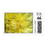 Bright, Lemon Yellow Dahlia postage