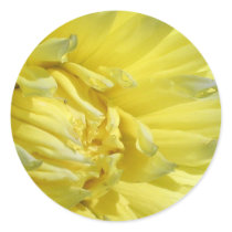 Bright, Lemon Yellow Dahlia stickers by charlesblack7 Bright, Lemon Yellow Dahlia stickers