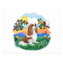Bright Life - Cavalier (BL-F) Postcards