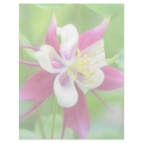 Bright McKana Type Columbine Letterhead
