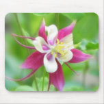 Bright McKana Type Columbine mousepads