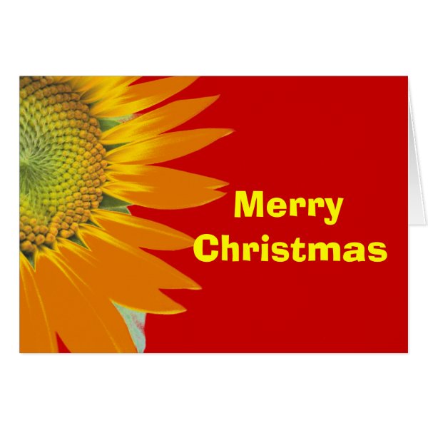 Bright Merry Christmas Red and Yellow Flower Cards