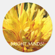 BRIGHT MINDS! Stickers Dahlia Flowers Teachers
