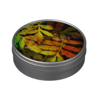 Bright Modern Leaves Abstract Pattern Jelly Belly Candy Tins