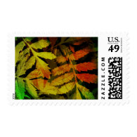 Bright Modern Leaves Abstract Pattern Stamps
