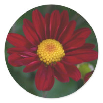 Bright Mum stickers