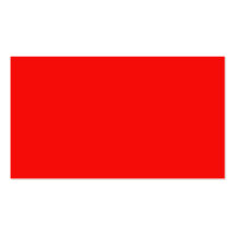 Bright Neon Red Business Card