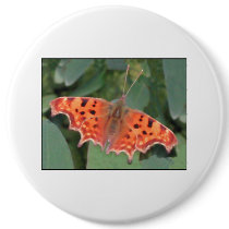 Bright orange butterfly. Comma. Pinback Buttons
