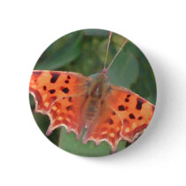 Bright orange butterfly. Comma. Button