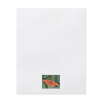 Bright orange butterfly. Comma. Flyers