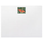 Bright orange butterfly. Comma. Letterhead Template
