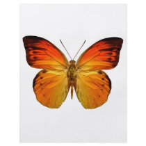 Bright Orange Butterfly Flyers