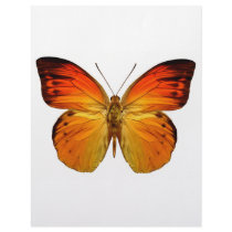 Bright Orange Butterfly letterhead