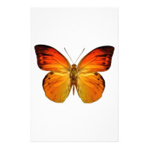 Bright Orange Butterfly Personalized Stationery