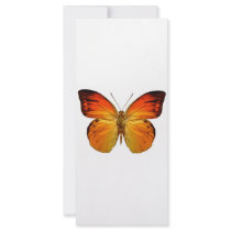 Bright Orange Butterfly rack cards