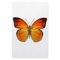 Bright Orange Butterfly stationery
