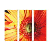Bright Orange Daisy Gallery Wrap Canvas