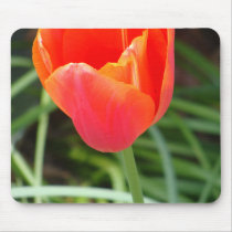 Bright Orange Flower Mousepad