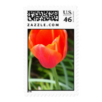 Bright Orange Flower Postage Stamp