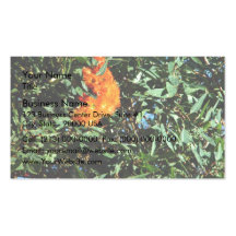 Bright orange gum blossom business card template