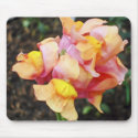 Bright Orange Snapdragon Flowers mousepad