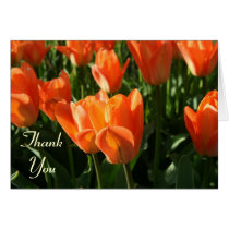 Bright Orange Tulips Thank You Card