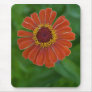 Bright Orange Zinnia Flower Blossom mousepad