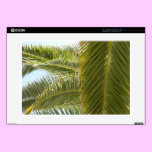 Bright Palm skins
