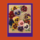 seeds, seed packet, seed packet art, seed packet