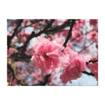 bright pink blossoms stretched canvas prints