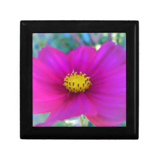 Buy cosmo beauty products - Bright Pink Cosmo Gift Boxes