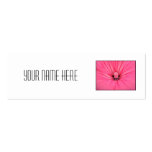Bright Pink Flower. Business Card