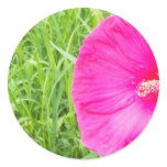 Bright Pink Flower in Tall Grass Stickers