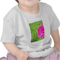 Bright Pink Flower in Tall Grass Tee Shirts