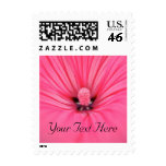 Bright Pink Flower. Stamps