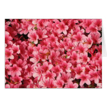 Bright Pink Flowers cards