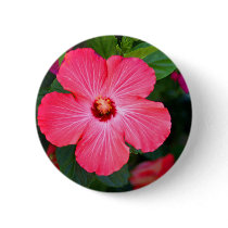 Bright Pink Hibiscus buttons by mbgphoto Bright Pink Hibiscus buttons