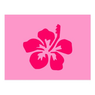 Bright Pink Hibiscus Postcard