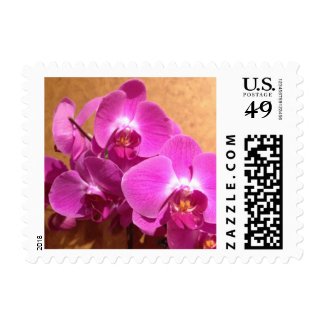 Bright Pink Orchid Flowers Stamp