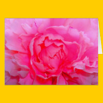 Bright Pink Peony Card