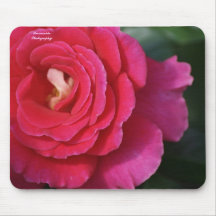 Bright pink rose mousepad