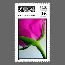 Bright PInk Rose postage