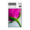 Bright PInk Rose postage by beverlytazangel Bright PInk Rose postage
