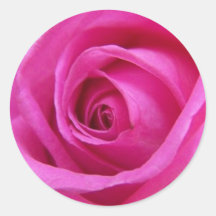 Bright Pink Rose Sticker