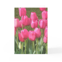 Bright Pink Tulip Garden Card